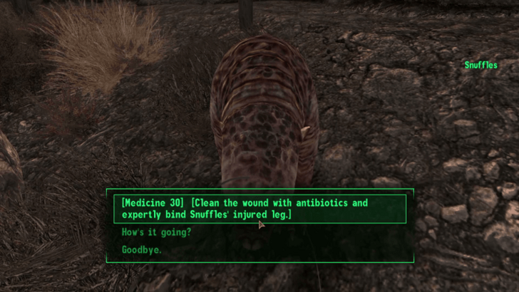 Fallout New Vegas - Do Skill Locked Conversations