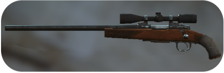 Rifle Image
