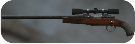 Rifle Image