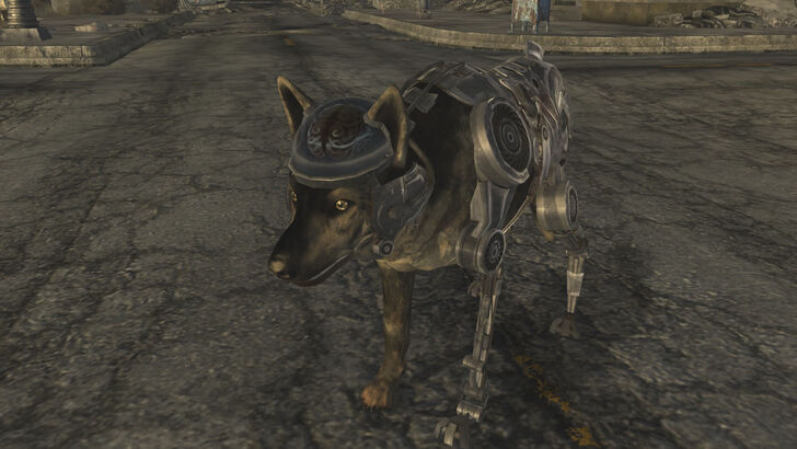 Fallout New Vegas Rex