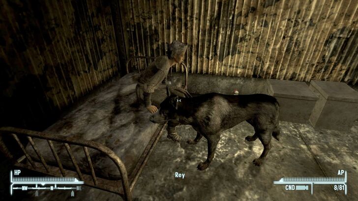 Fallout New Vegas Old Lady Gibson