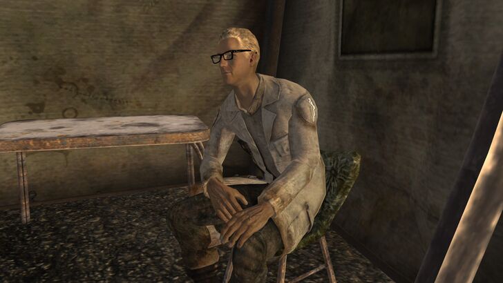 Fallout New Vegas Arcade