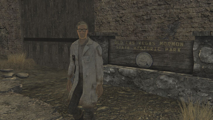 Fallout New Vegas Arcade