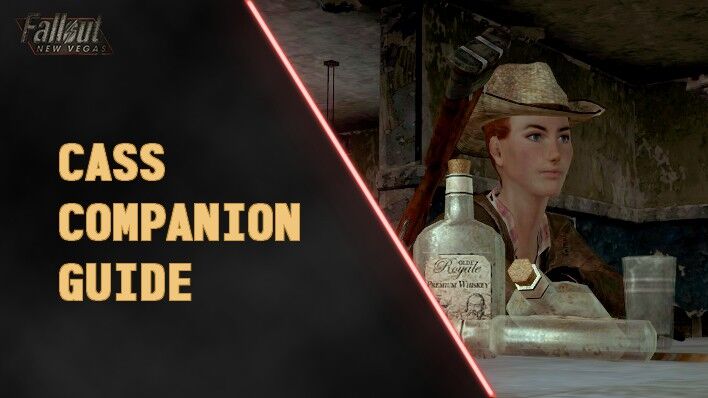 Fallout New Vegas Cass