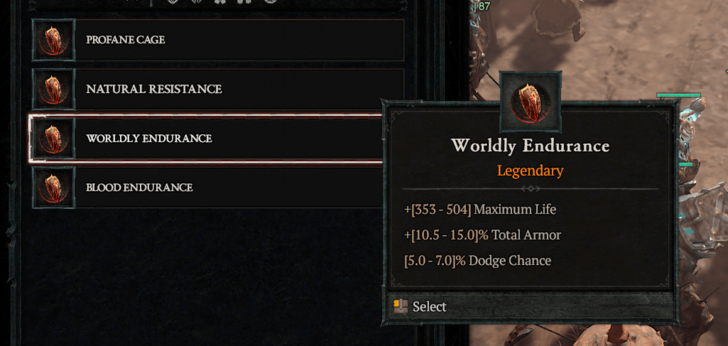 Diablo 4 - Worldly Endurance