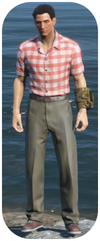Checkered Shirt and Slacks Image
