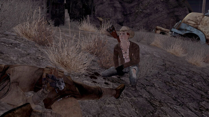 Fallout New Vegas Arcade