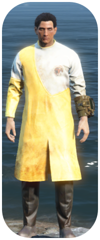 Dirty Yellow Institute Division Head Coat Image