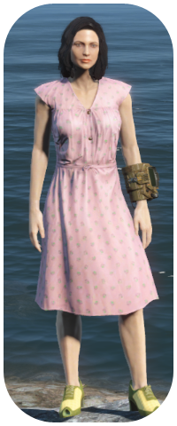 Laundered Pink Dress Image