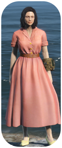 Laundered Rose Dress Image