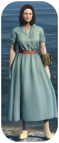 Laundered Denim Dress Image