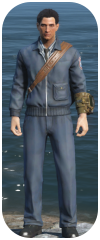 Postman Uniform Image