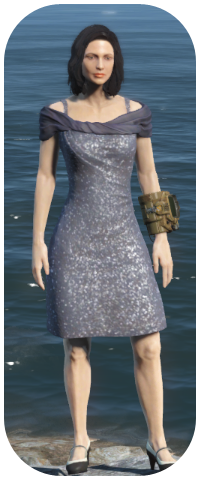 Sequin Dress Image