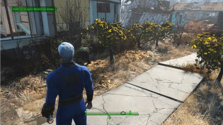 Fallout 4 - Food Supply