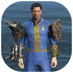 Heavy Raider Arm Image