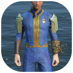 Combat Armor Left Arm Image