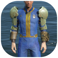 Heavy Combat Armor Arm Image