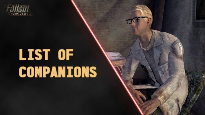 Fallout New Vegas Companion