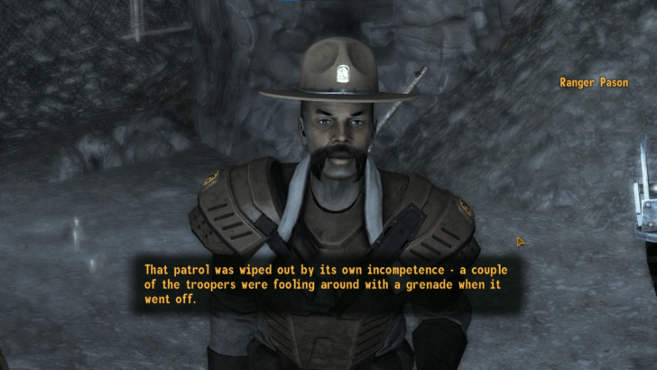 Fallout New Vegas - RS Delta 1