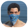Blue Bandana Image
