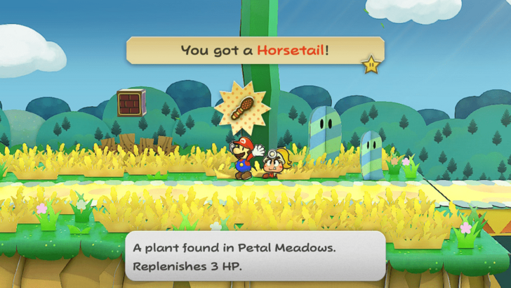Paper Mario TTYD Switch Remake - Horsetail Petal Meadows
