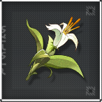 Wuthering Waves - Lemongrass