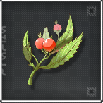 Wuthering Waves - Noctemint