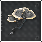 Wuthering Waves - Coriolus