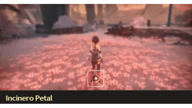Wuthering Waves - Incinero Petals Deal Damage Over Time