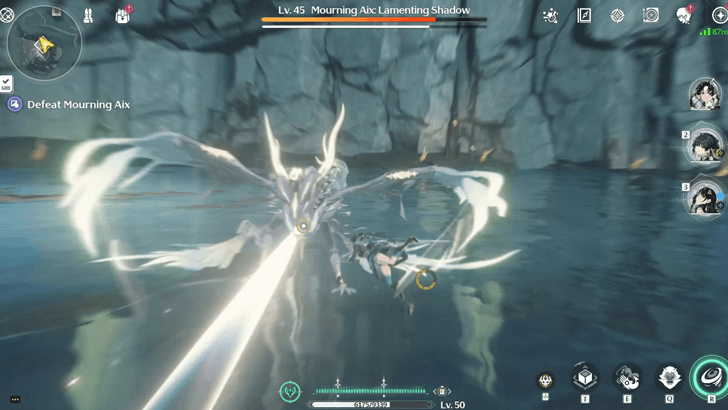 Wuthering Waves - Avoid Staying Directly In Front