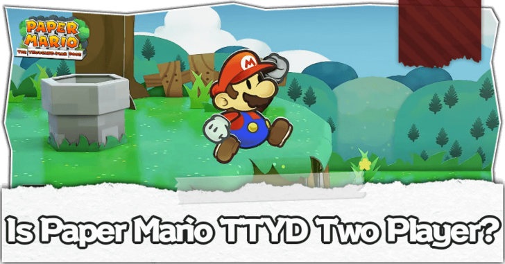 Paper Mario TTYD Switch Remake - Is Paper Mario TTYD Two Player Banner