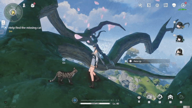 Wuthering Waves - Save the World Save the Cat - Find the Missing Cat