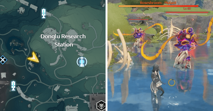 Wuthering Waves - Roseshroom Mutant Variant Location
