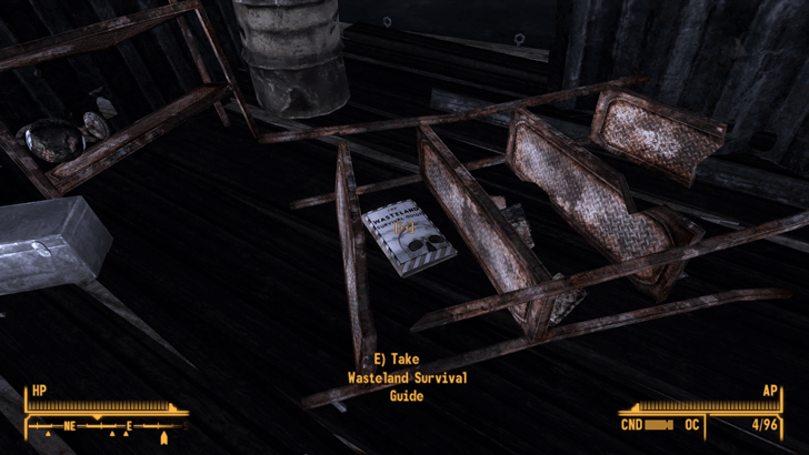 Fallout New Vegas -World View