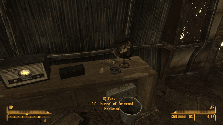 Fallout New Vegas -World View