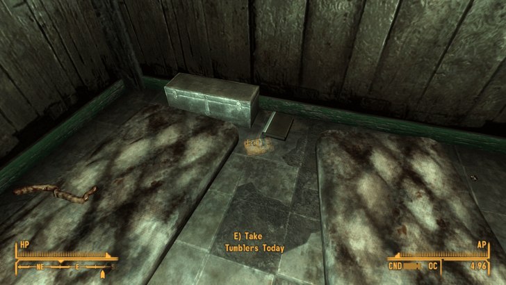 Fallout New Vegas -World View