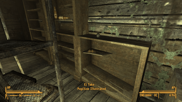 Fallout New Vegas -World View