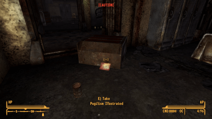 Fallout New Vegas -World View