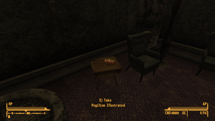 Fallout New Vegas -World View