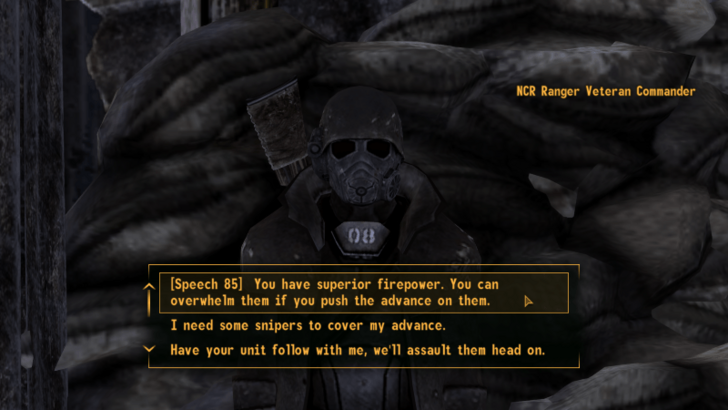 Fallout New Vegas - NCR Ranger Veteran Commander