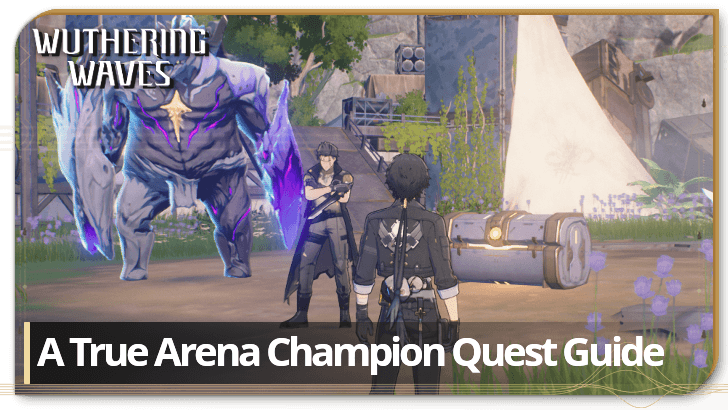 Wuthering Waves - A True Arena Champion