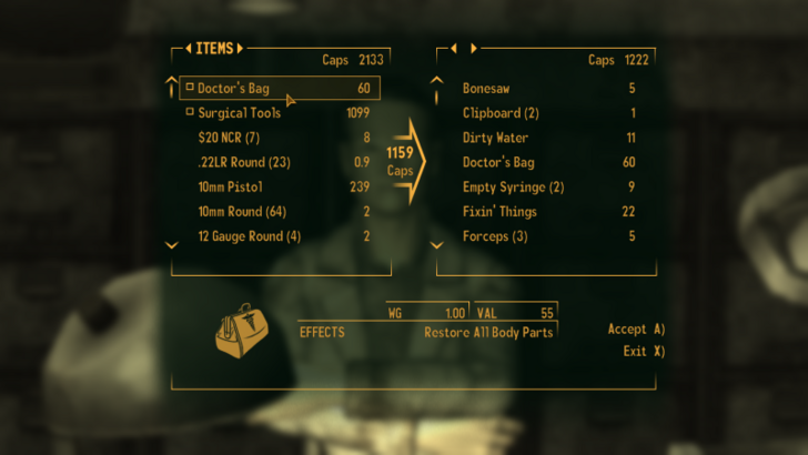 Fallout New Vegas - Doctor