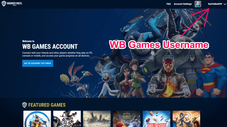 MultiVersus - WB Games username