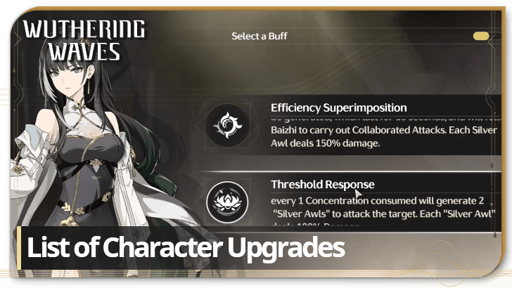 Wuthering Waves - List of Character Upgrades