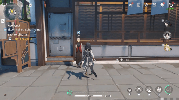 Wuthering Waves - Silver-Haired Echo Trainer II - Visit Linghan