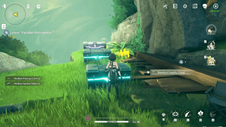 Wuthering Waves - Advance Supply Chest and Two Standard Supply Chests