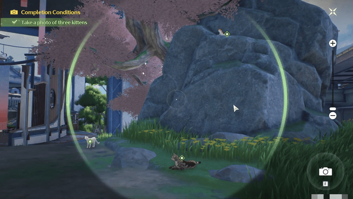 Wuthering Waves - Photos of Jinzhou - Take a Photo of All the Cats