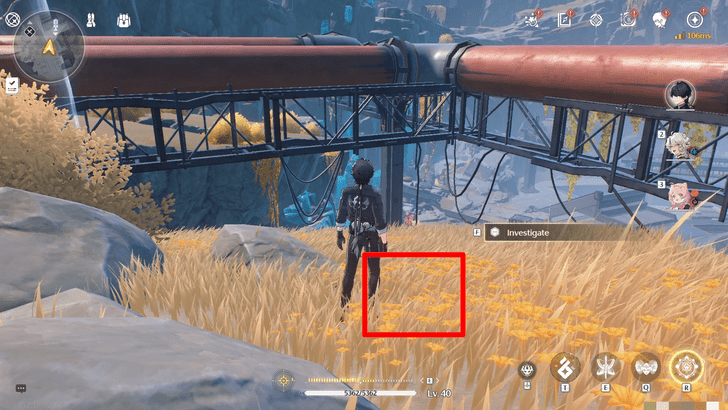 Wuthering Waves - Tiger