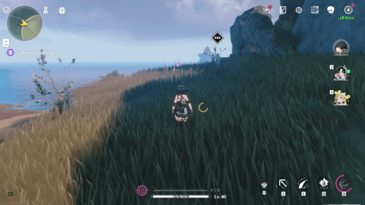 Wuthering Waves - Follow Lirong