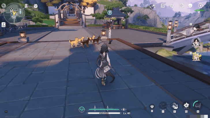 Wuthering Waves - Translation of Dog